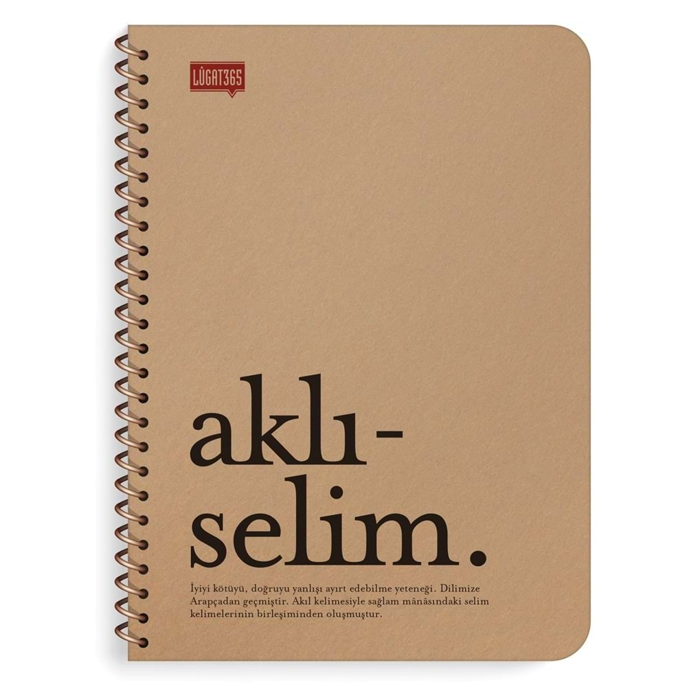 Lügat365 Aklıselim 16x22 80 Yapraklı Çizgili Defter