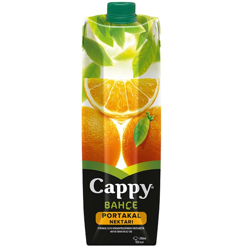 Cappy Portakal Meyve Suyu 1 Litre