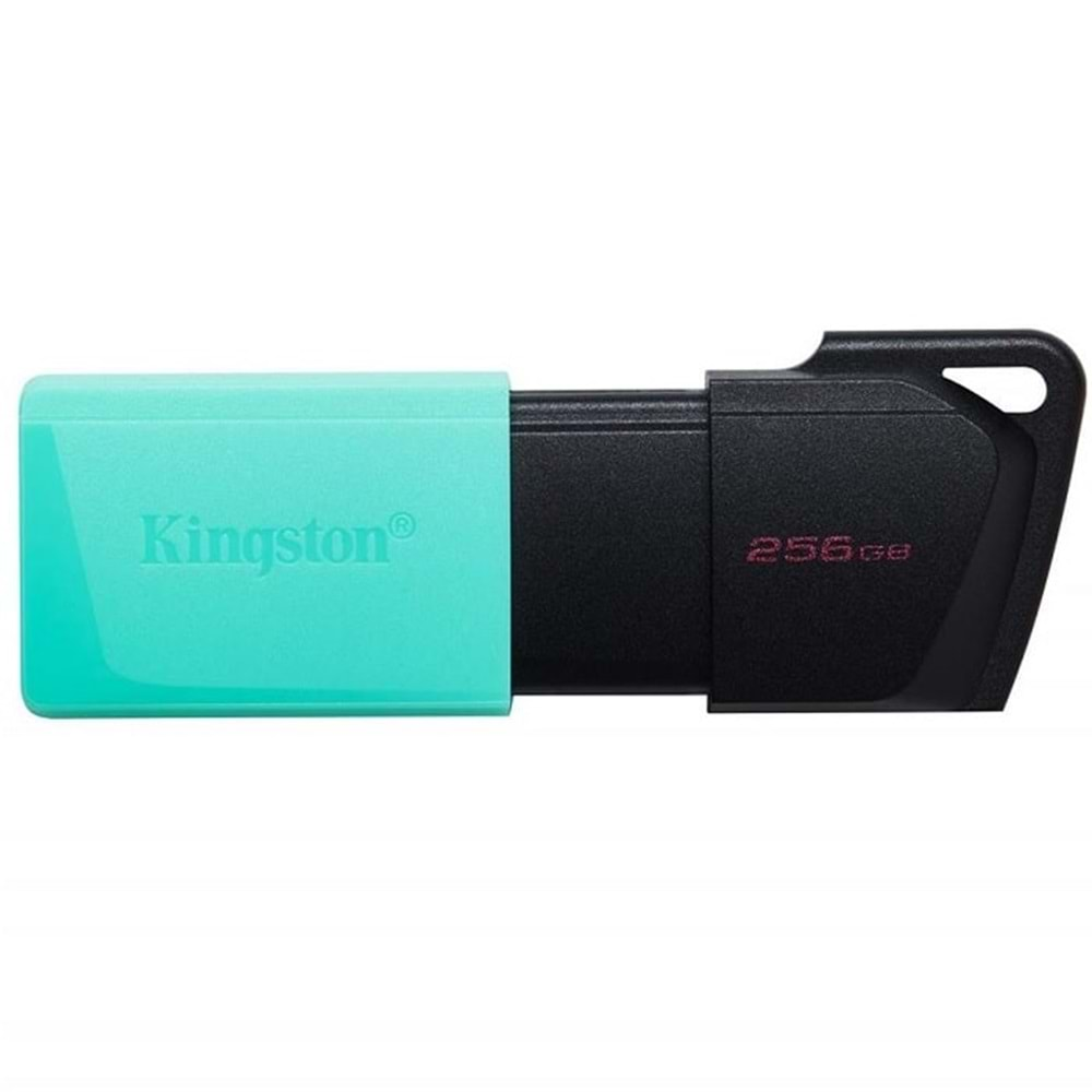 Kingston DTXM/256GB 256GB USB 3.2 Flash Bellek