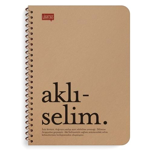 Lügat365 Aklıselim 16x22 80 Yapraklı Çizgili Defter