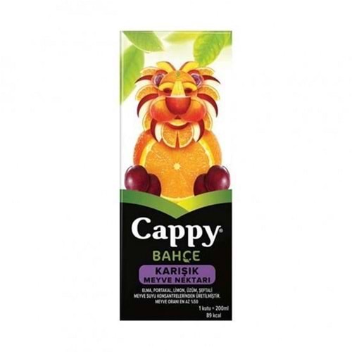 Cappy Karışık Meyve Suyu 200 ml