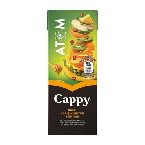 Cappy Atom Karışık Meyve Suyu 200 ml
