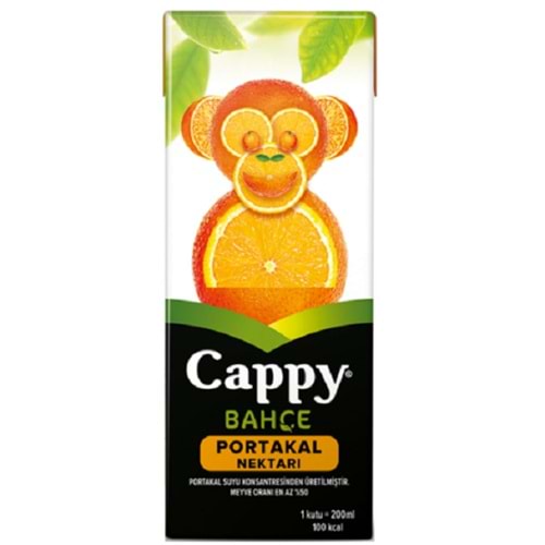 Cappy Portakallı Meyve Suyu 200 ml