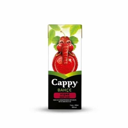 Cappy Vişne Meyve Suyu 200 ml