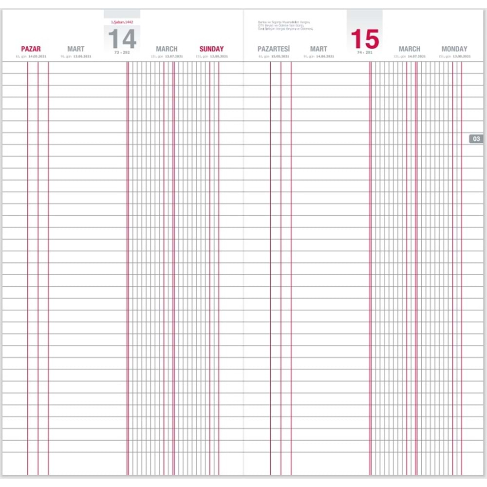 Gıpta Günlük 2025 Ticari Kasa Ajandası Ece Tipi 17x33 cm 118-TCK