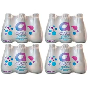 Avşar Gazoz 200 ml. 24 lü